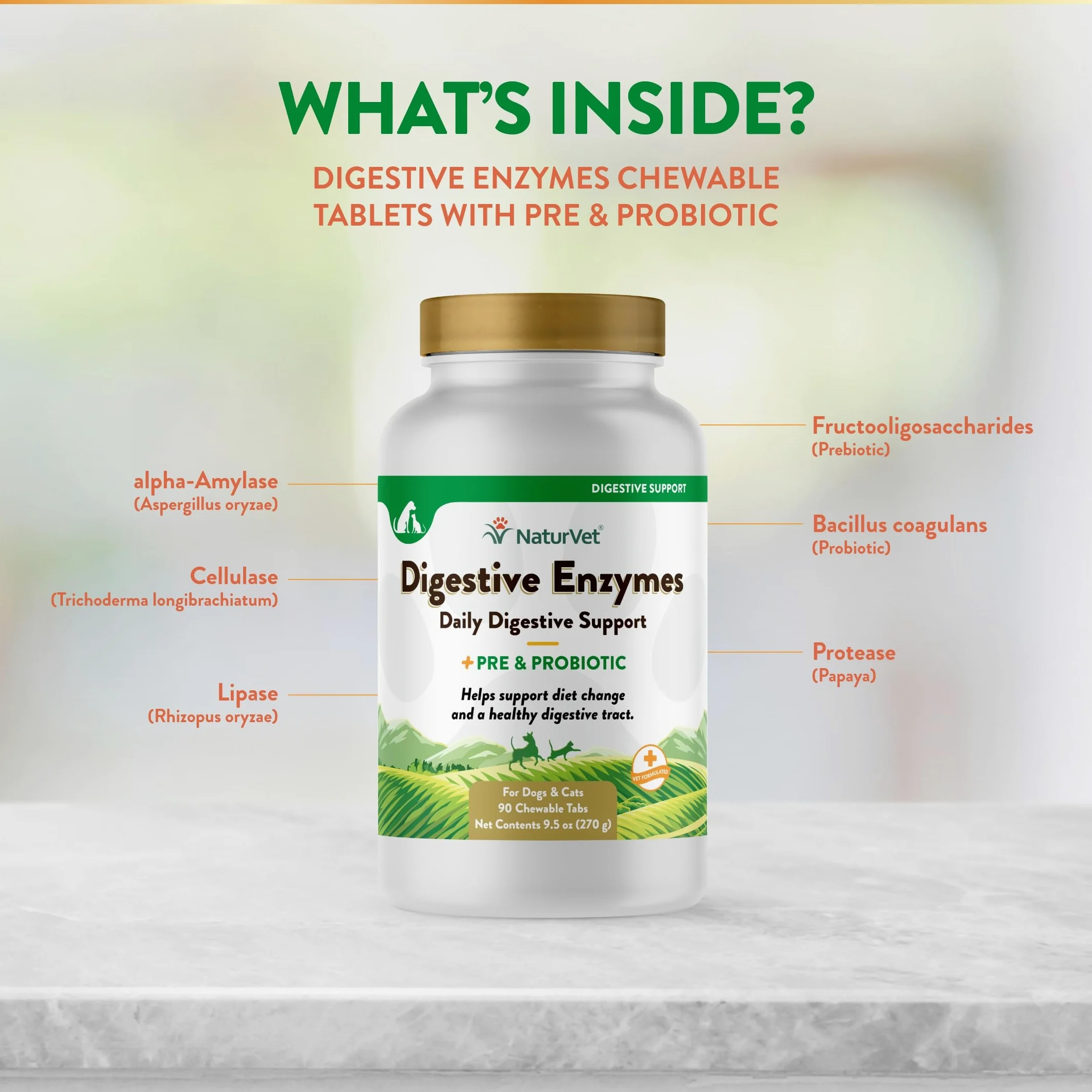 NaturVet Digestive Enzymes Plus Probiotiques Complément Alimentaire pour Chiens, à mâcher Doux, fabriqué aux États-Unis avec des ingrédients d'origine Mondiale 90 pièces