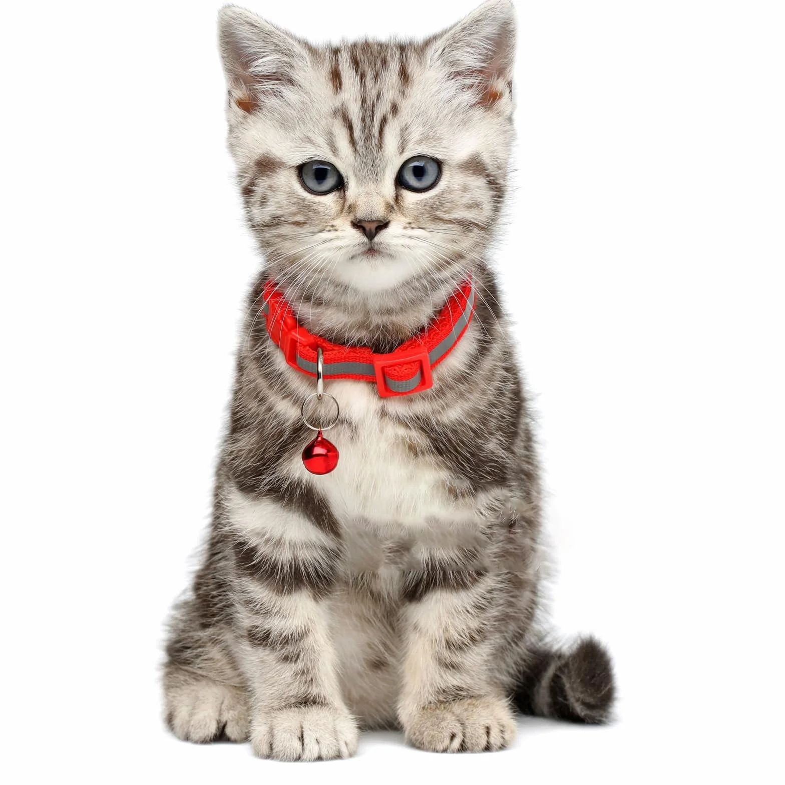 Lot de 24 cloches en métal pour chien et chat - Avec boucles - Pendentif puissant - Accessoire pour animaux de compagnie - Ne perdez pas vos breloques d'entraînement pour animaux de compagnie