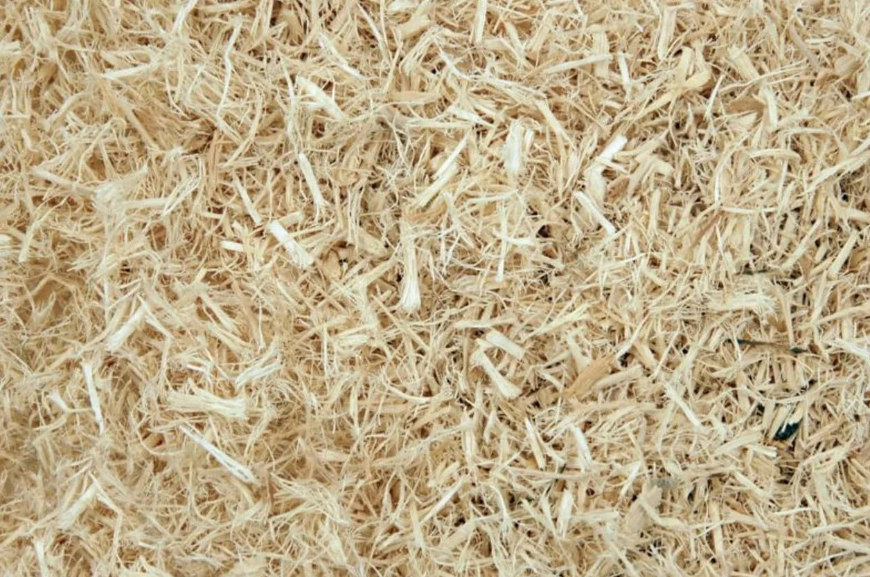 Retics & Reptiles Aspen Bedding ReptiBase | Literie super absorbante | 100 % naturelle | Facile à nettoyer | Élimination des odeurs | Convient pour reptiles, mammifères et amphibiens 60 litres (3,6 kg