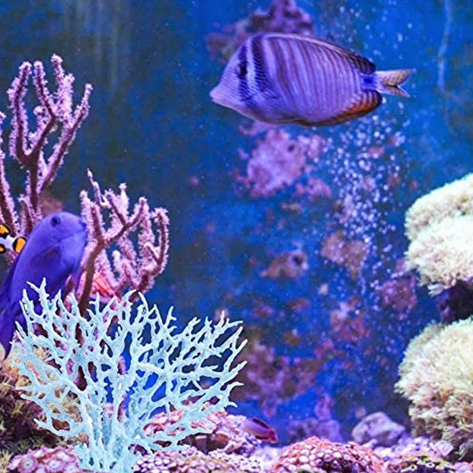 Lot de 2 coraux artificiels pour aquarium - Décoration en plastique - Ornements