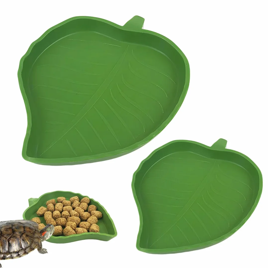 Terrarium Tortue Terrestre 2 Pièces Bols Eau Nourriture Reptiles Vert Forme Mangue