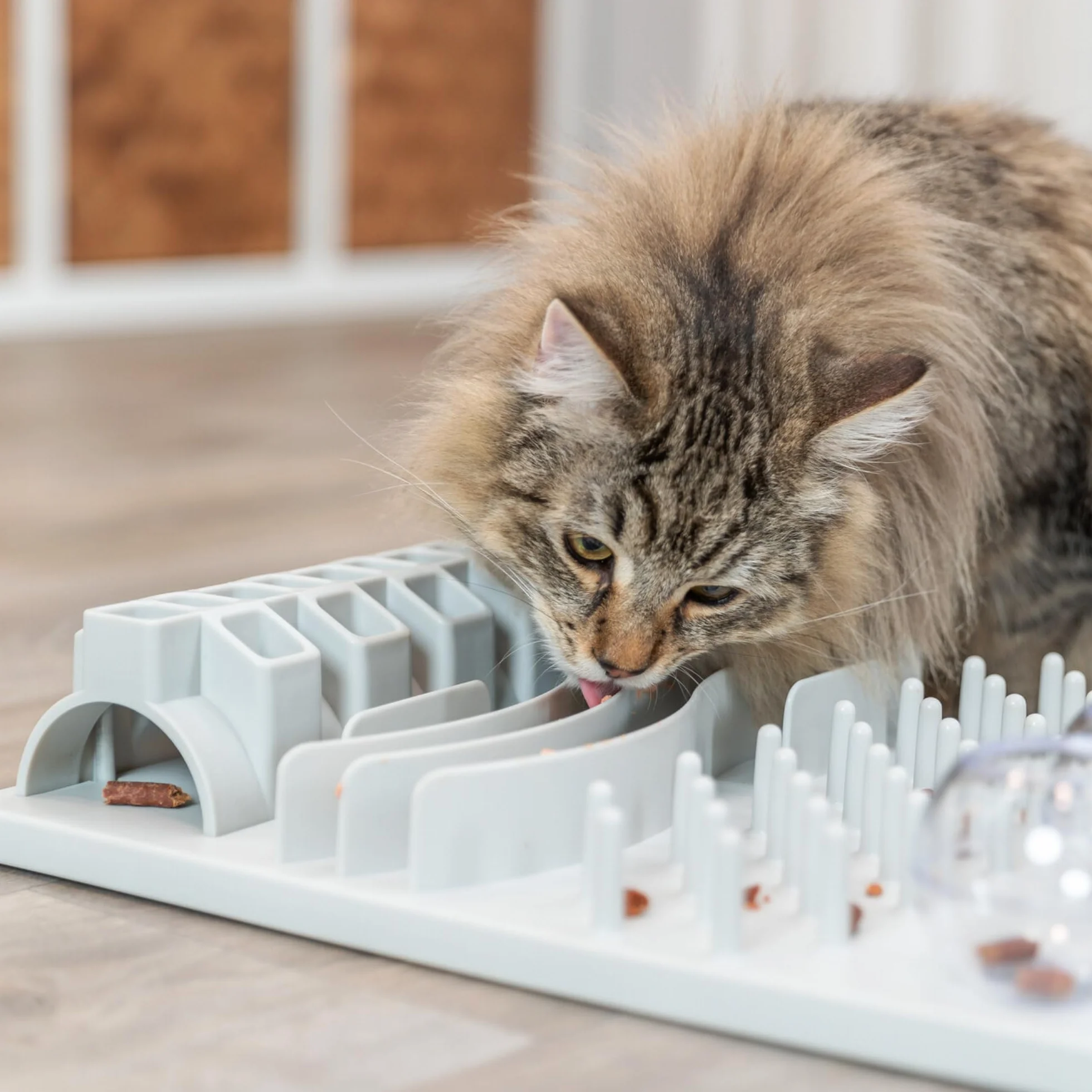 TRIXIE Cat Activity Fun Board – Jouet d'intelligence interactif pour chat – 30 × 40 cm