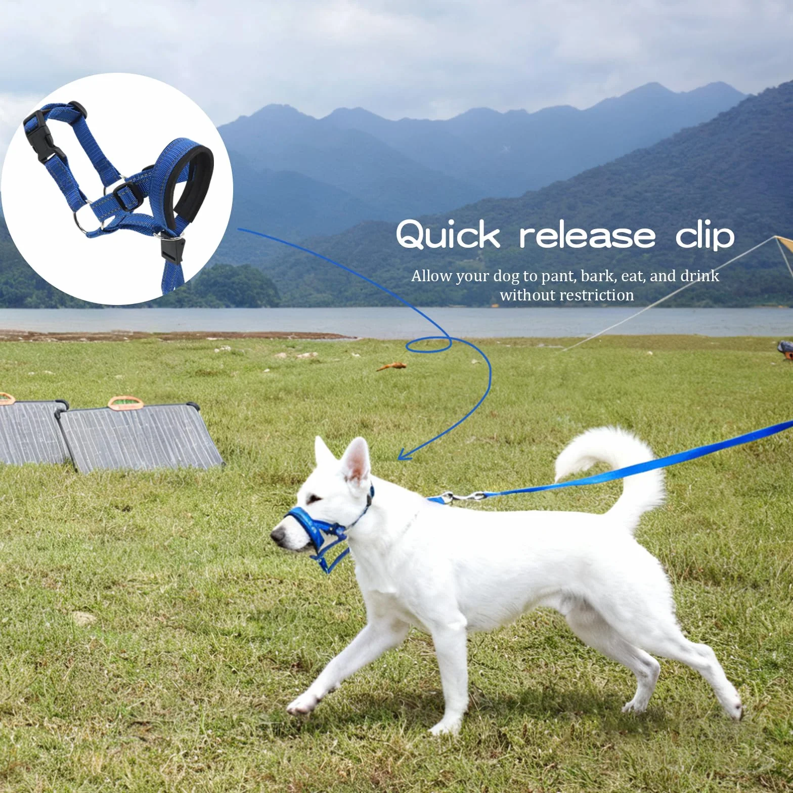 Muselière Chien Tapis en Mousse Dog Muzzle Réglable Cou 36-50cm Bleu Muselières Réfléchissant Licol Chien Souple et Léger Empêche Morsures Aboiements et Tractions