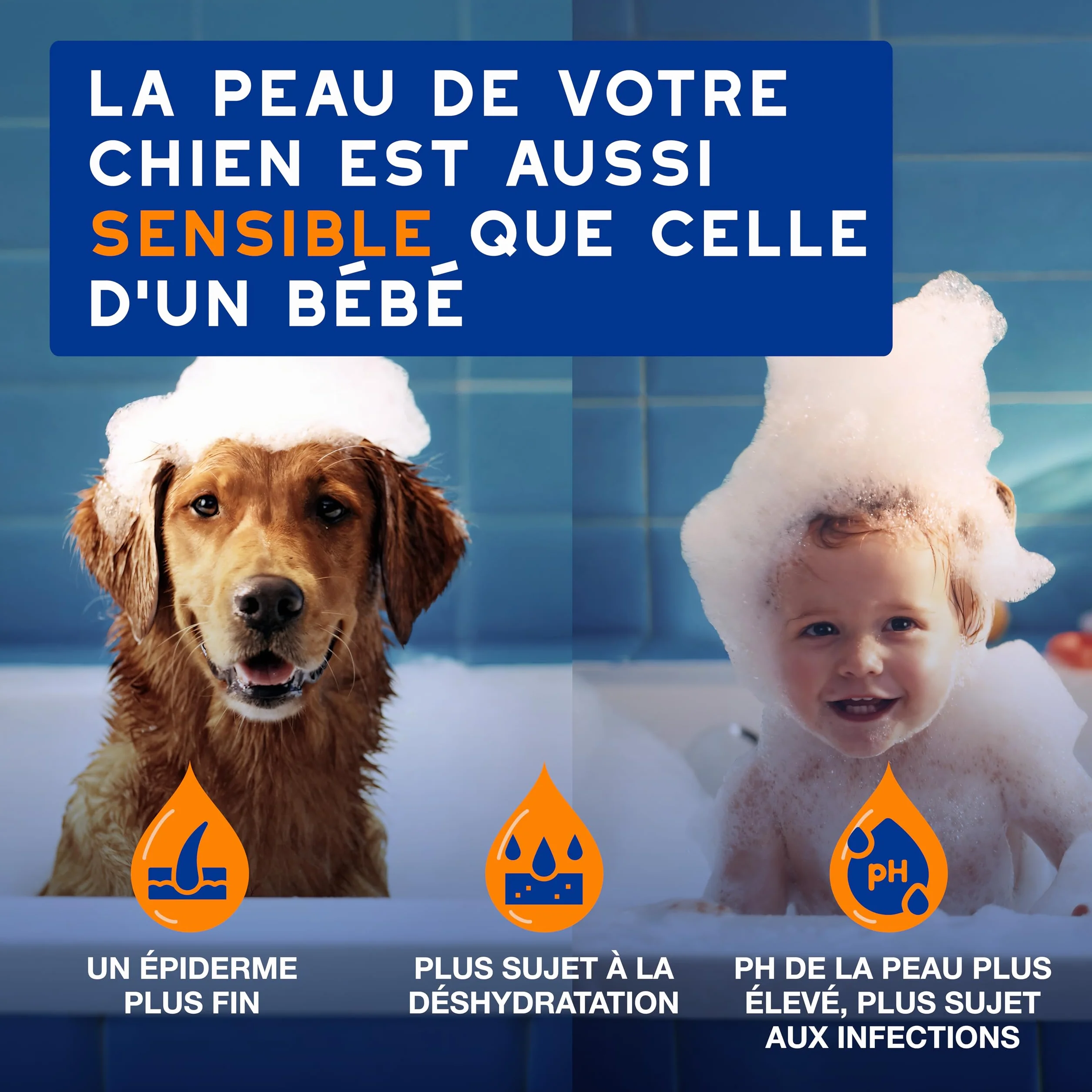 DOUXO Skin & Coat Spa - Ultra-Safe Spray démêlant pour Chiens, 340mL, démêle et nourrit Le Pelage en Toute sécurité, Laisse Le Pelage Doux, Soyeux et sans Noeuds, Formule respectueuse de la Peau.