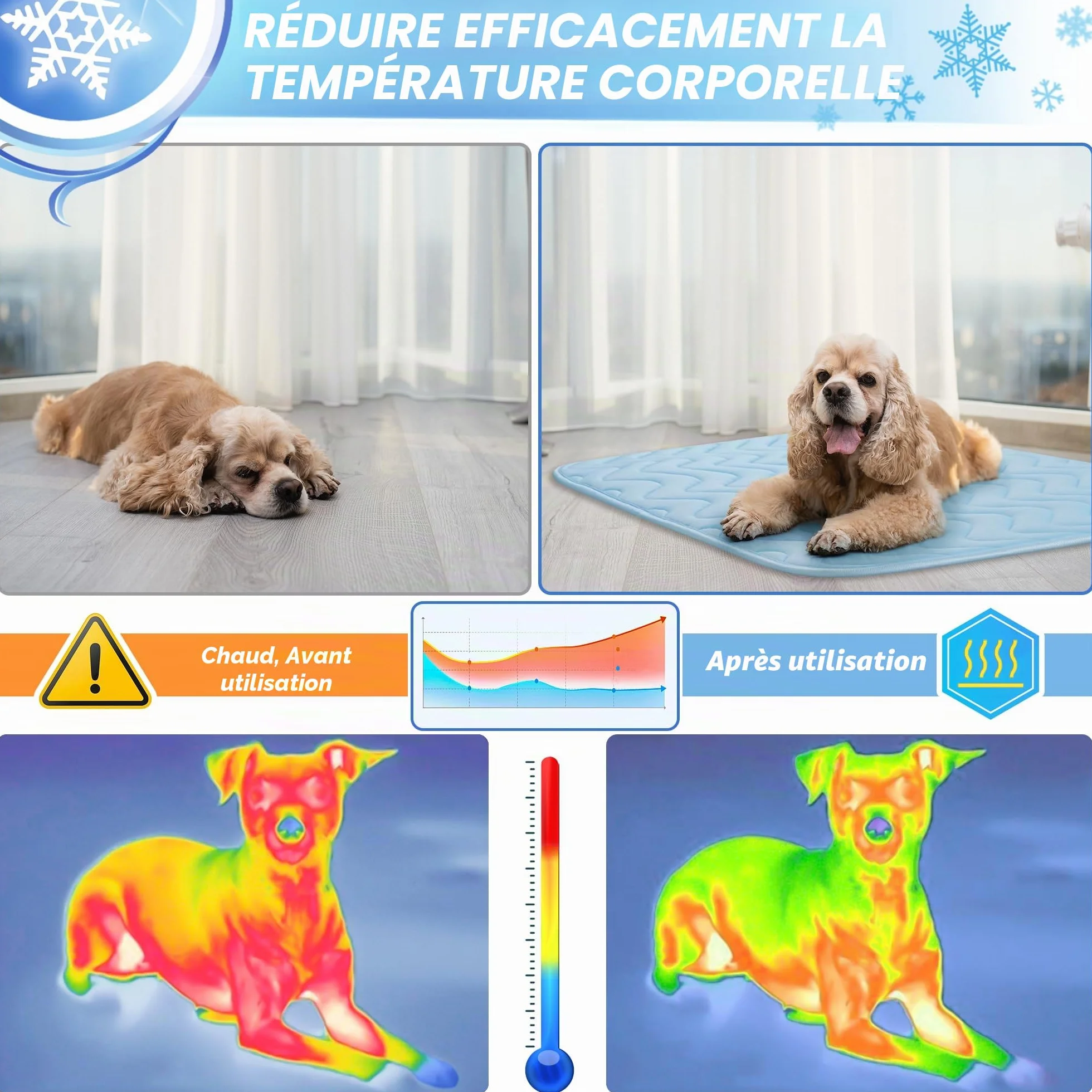 BaoDan Tapis Rafraichissant Chien Chat 75x50cm Soie Glacée Respirant Lavable Bleu