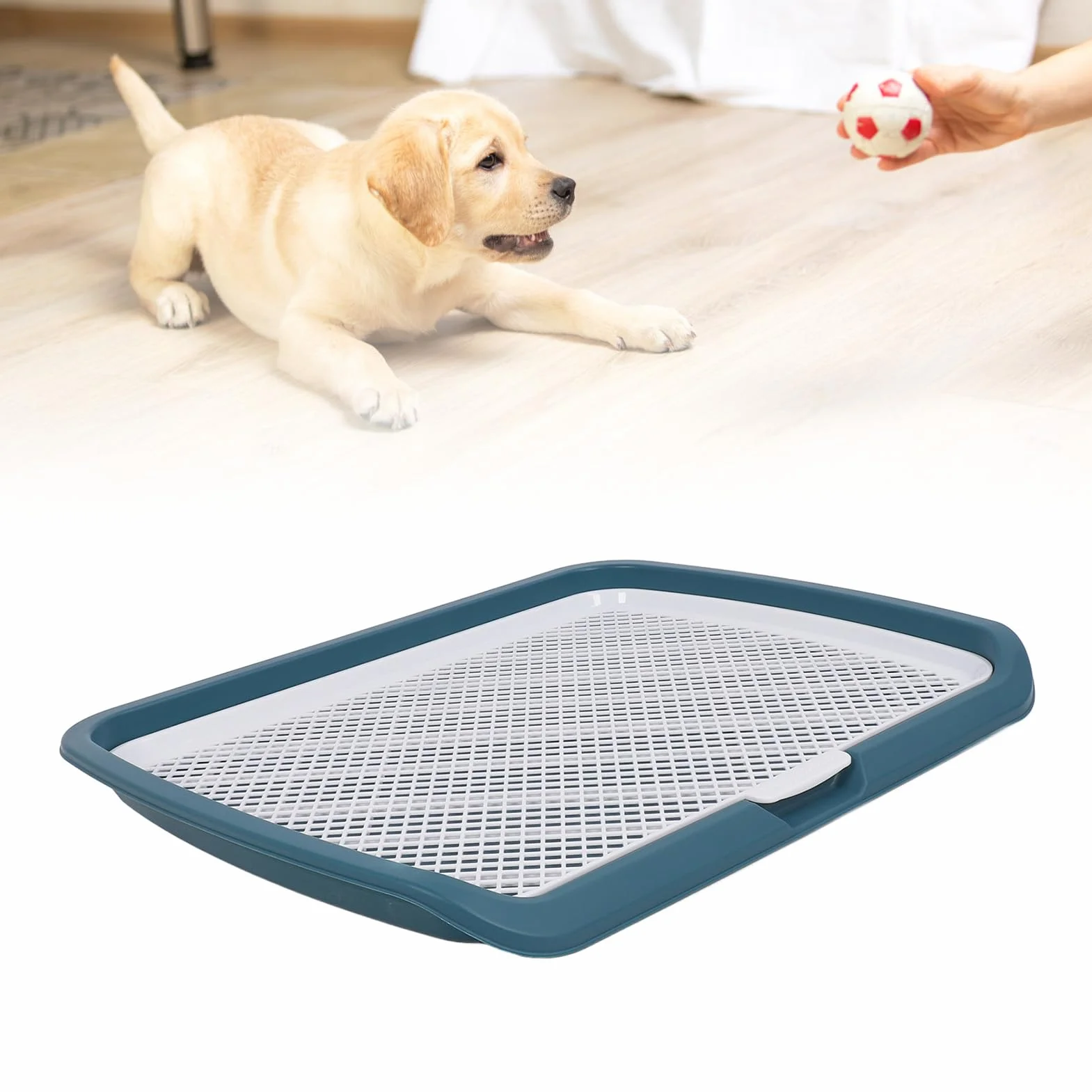 Bac à Litière pour Chien, Plateau de Pot pour Chien, Dressage de Toilettes pour Chien, Support pour Pipi, Support pour Pipi pour Chiot, Plateau en, Plateau de Toilette