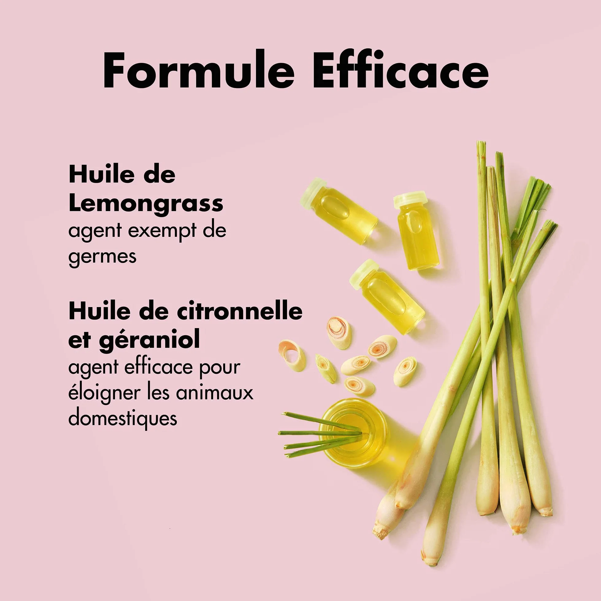 Belly Anti Marquage Urinaire pour Chien 250ml Spray Non Tachant Action Longue Durée