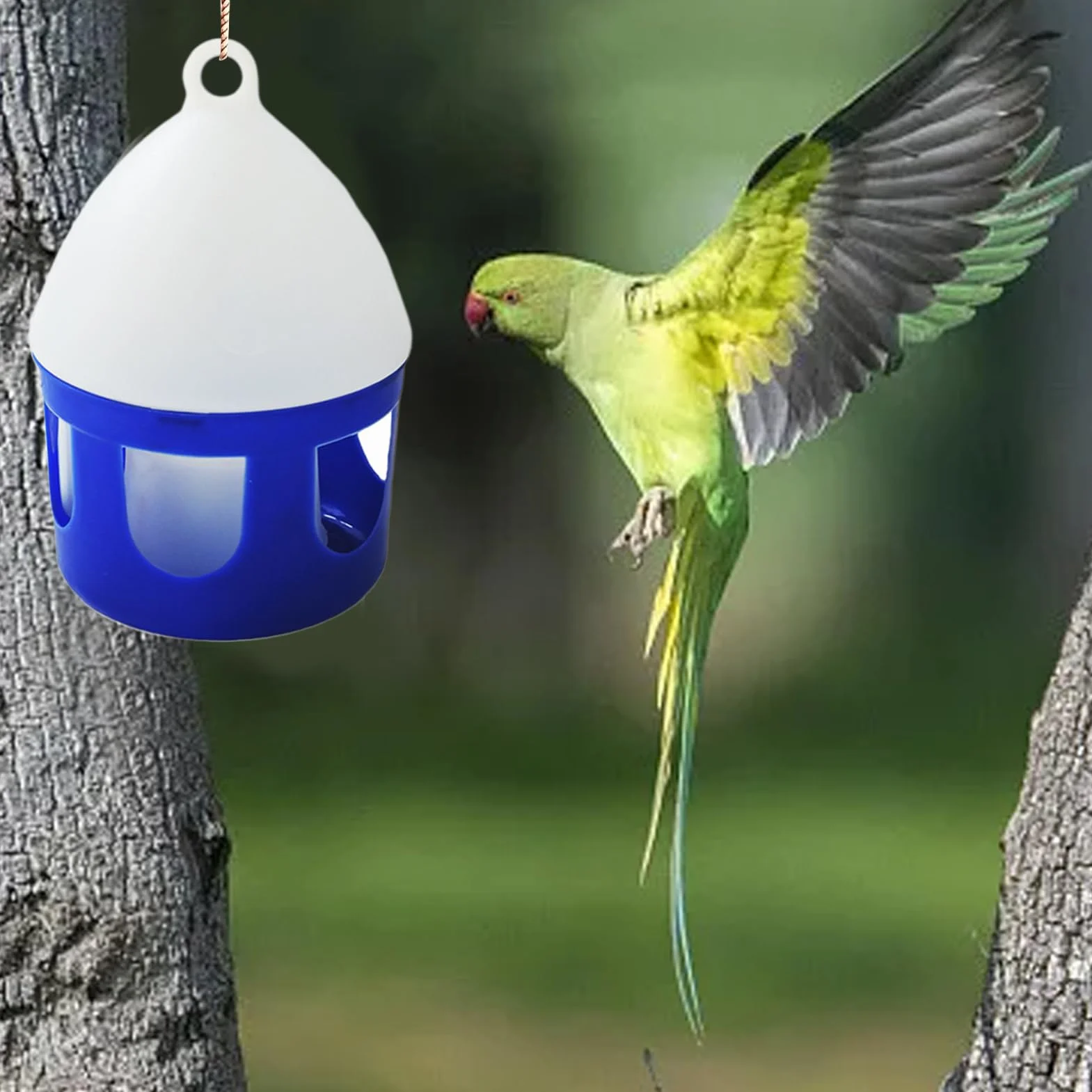 Abreuvoir pour Pigeons 2 litres Antifuite Amovible pour Oiseaux