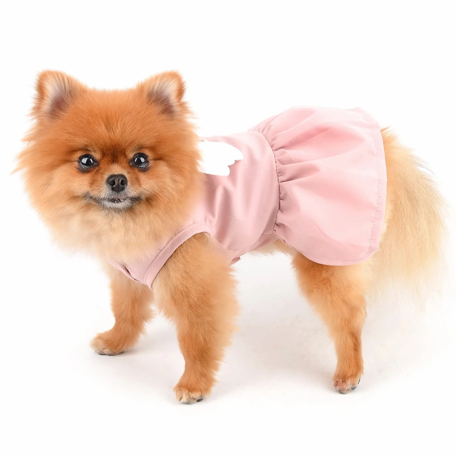 Angel Wing Robe Harnais et Laisse pour Chien et Chat, Robe d'été avec Anneau en D, Jupe pour Chiot, Vêtements Printemps-été pour Yorkshire Chihuahua, Rose, XS
