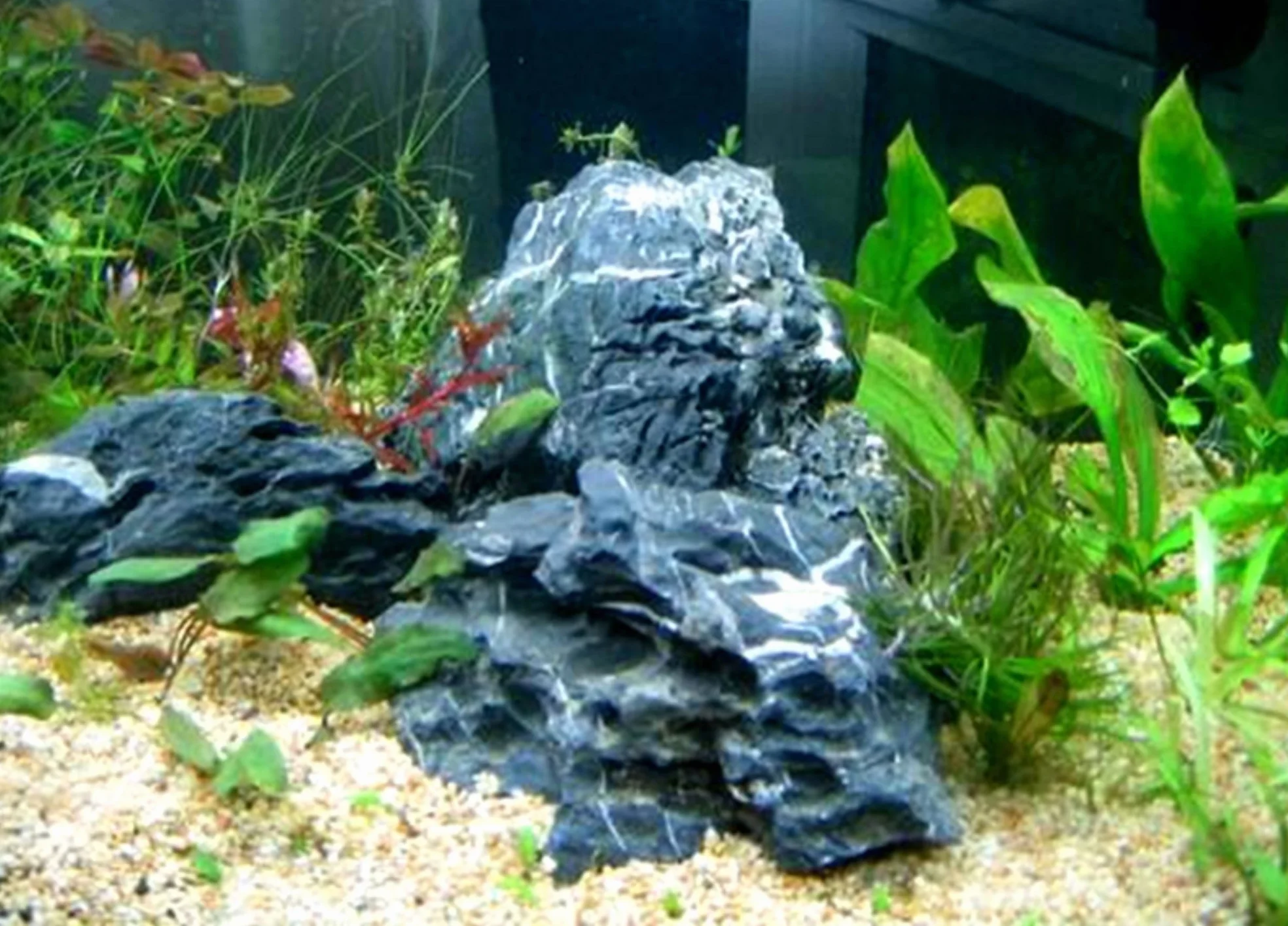 3,5 kg de roches dragon, décoration d’aquarium