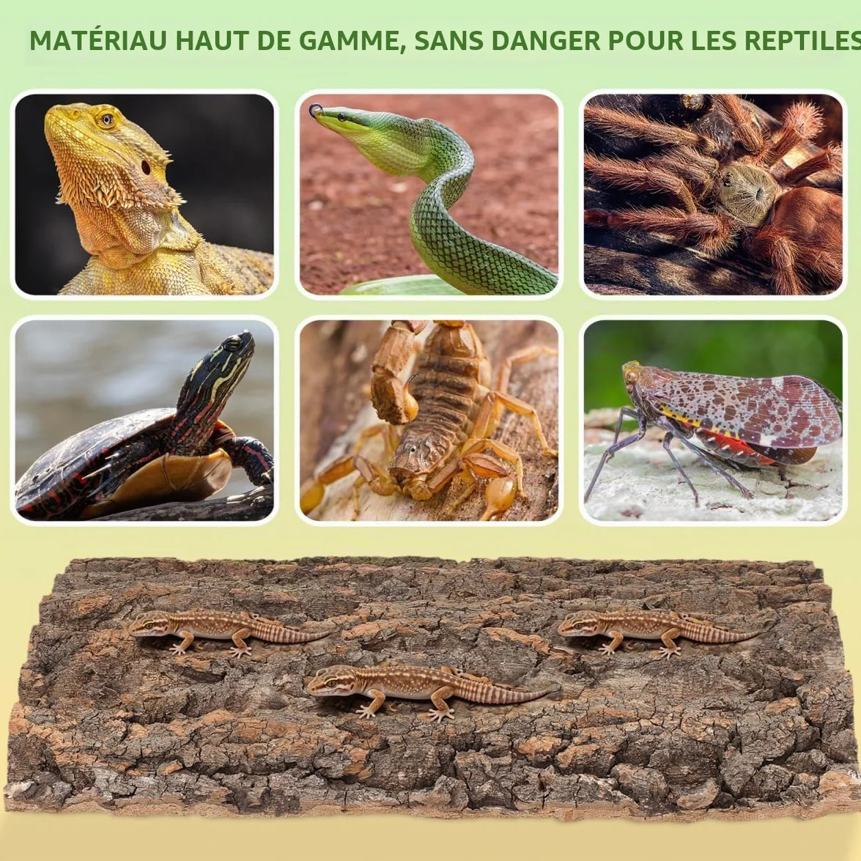 DOITOOL Panneaux De Fond en Écorce De Liège pour Terrarium Décor Mural De Toile De Fond Darbre De Réservoir De Reptiles Décoration De Tapis Descalade Dhabitat pour Tortue Lézard 30 x 40CM
