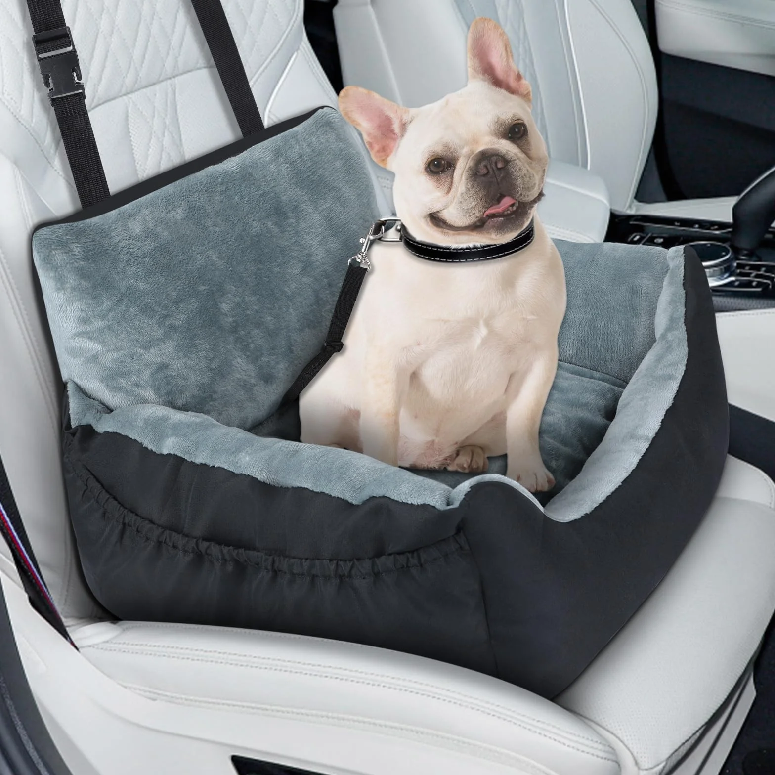 Lannvan Siege Auto Chien Antidérapant Lavable Coussin avec Laisse de Sécurité Noir