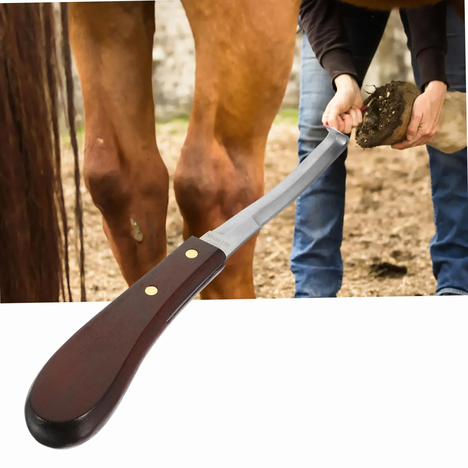 Couteau à Sabot Résistant la Rupture à Double Tranchant en Acier Inoxydable Poignée en Bois Ergonomique pour Usage Quotidien pour Soins des Sabots de Chevaux