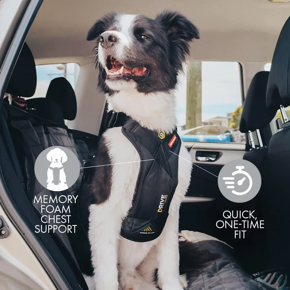 EzyDog Harnais de sécurité Drive pour Chien – Harnais Voiture testé en Crash-Test, Ajustable (L, Noir)