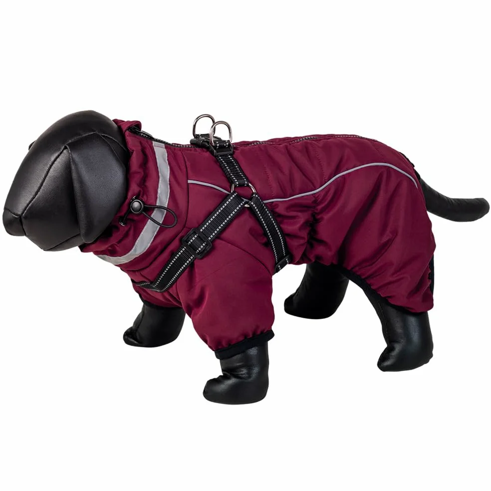 Nobby Manteau pour Chien ELOR 2 en 1 Bordeaux 32 cm
