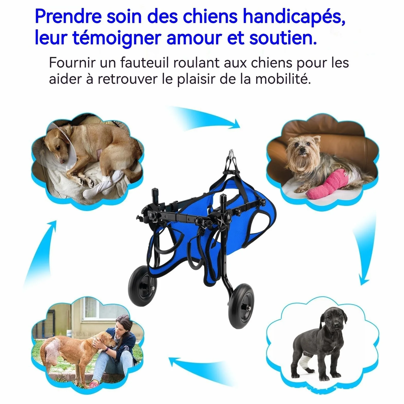 Chariot réglable pour animal domestique handicapé, aide à la mobilité des membres postérieurs