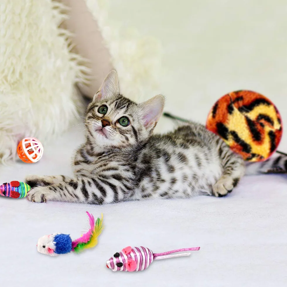 Jouets Chat Interactif 16 pièces Souris Balles Baguettes de Plumes pour Kitty
