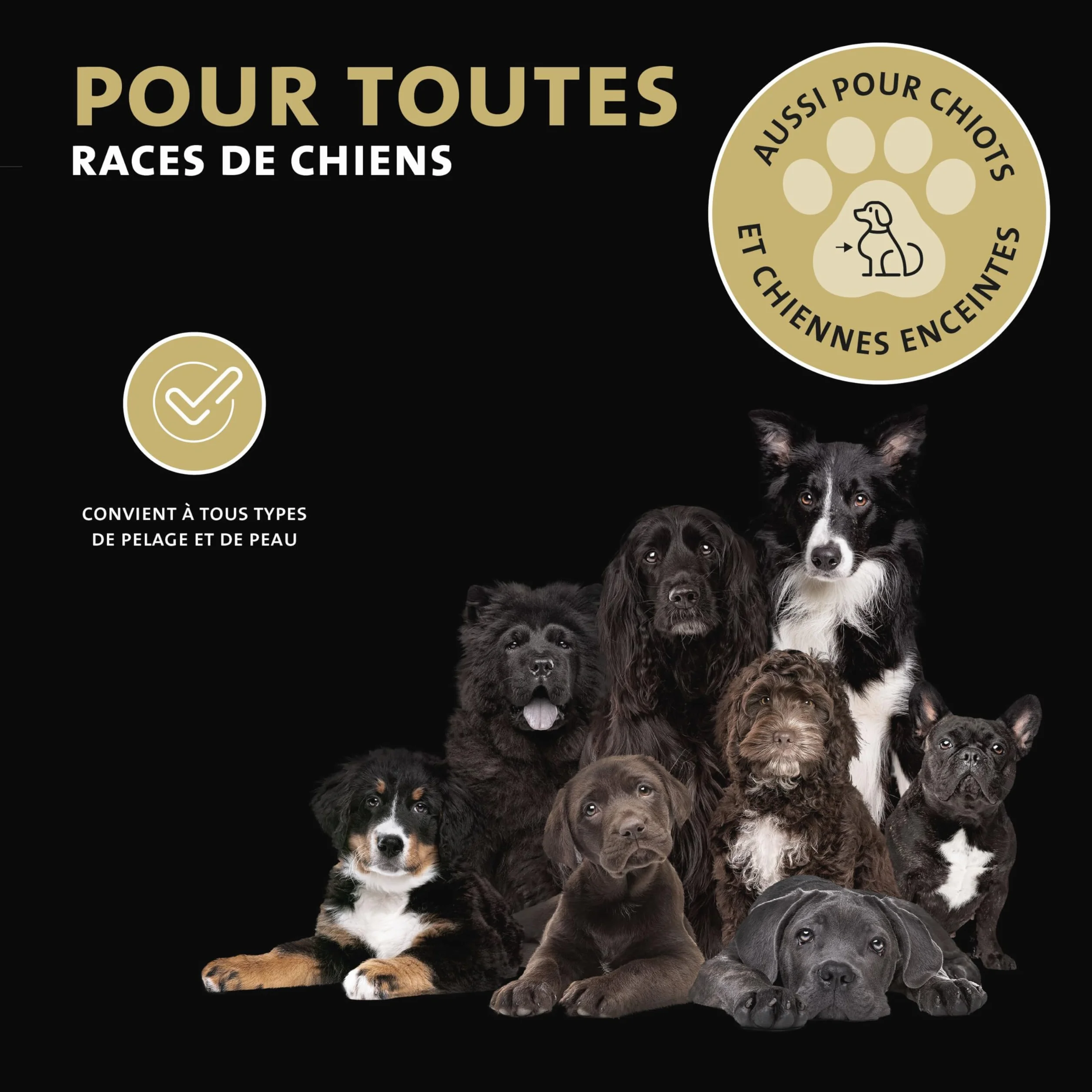 Peticare Shampoo Sec Naturel pour Chiens | Nettoyage sans Stress et Eau | Contre la saleté, Les odeurs | Soin du Pelage pour Tous Types de Poils | avec Huile d'argan et de Coco | petDog Health 2111