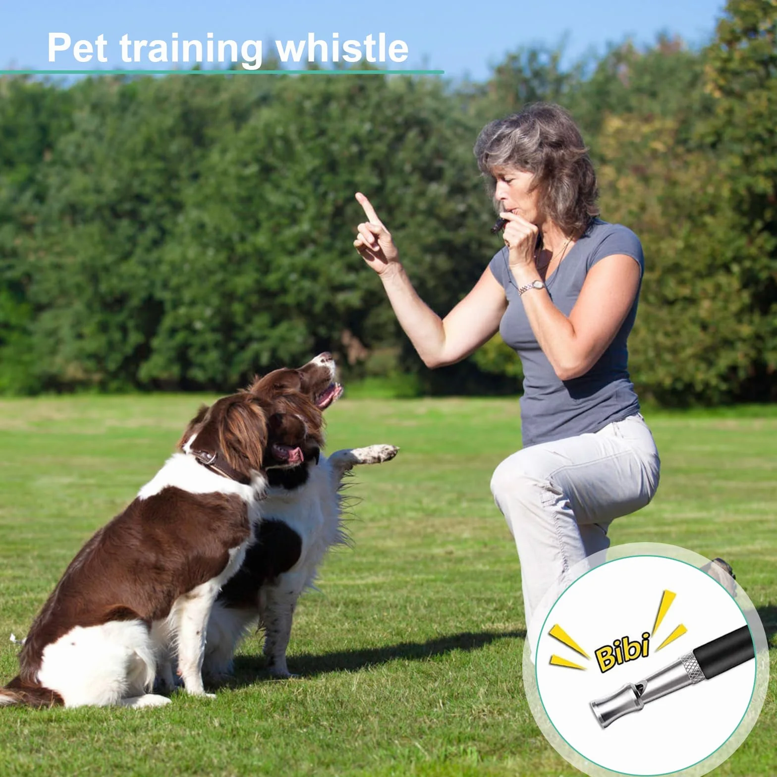 Sifflet Ultrason Chien Anti Aboiement avec 2 Longes, Fort et Longue Portée, Noir Blanc