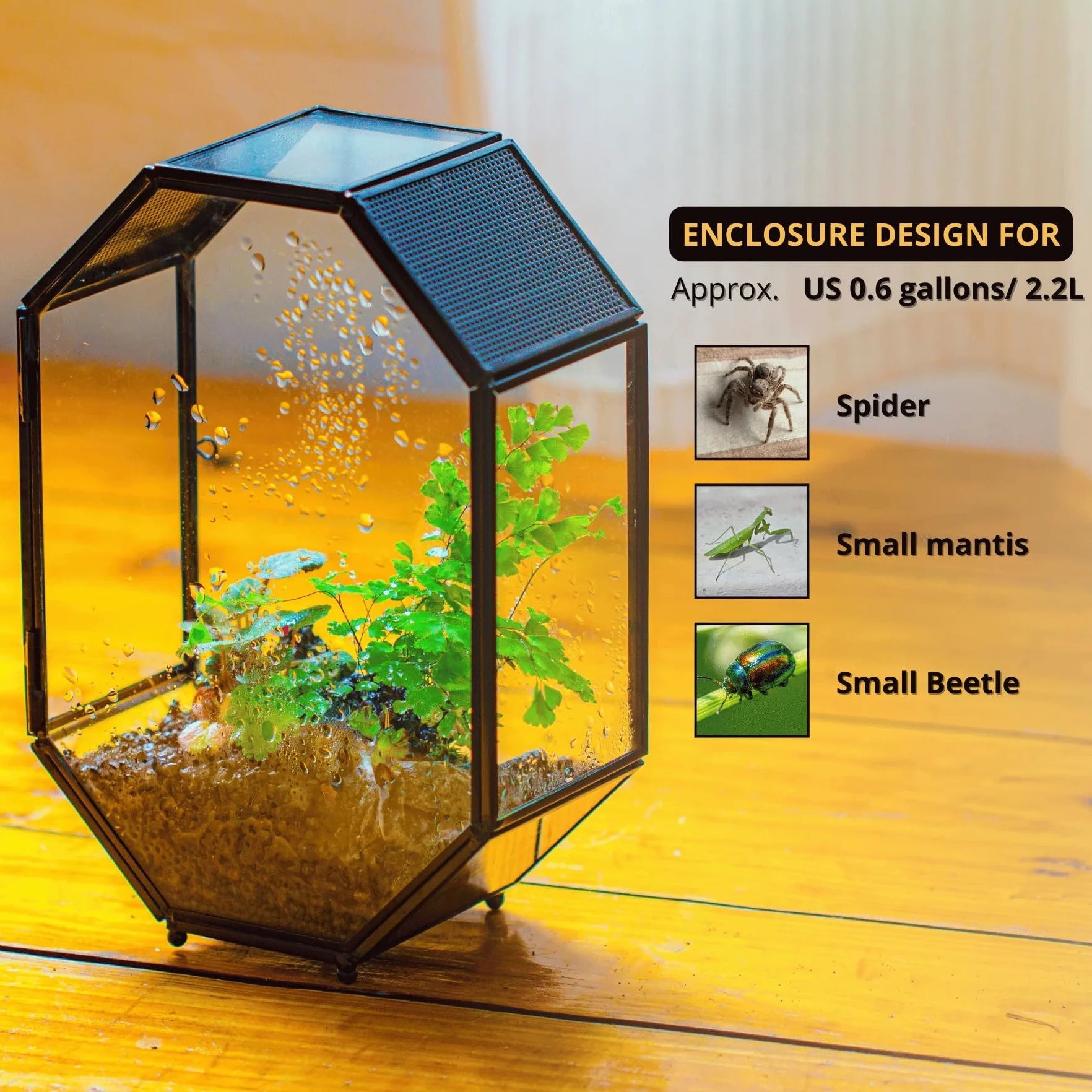 Terrarium en Verre Octogonale 15,8x8x22,1 cm avec Maille et Porte pour Araignées Insectes Petites Plantes