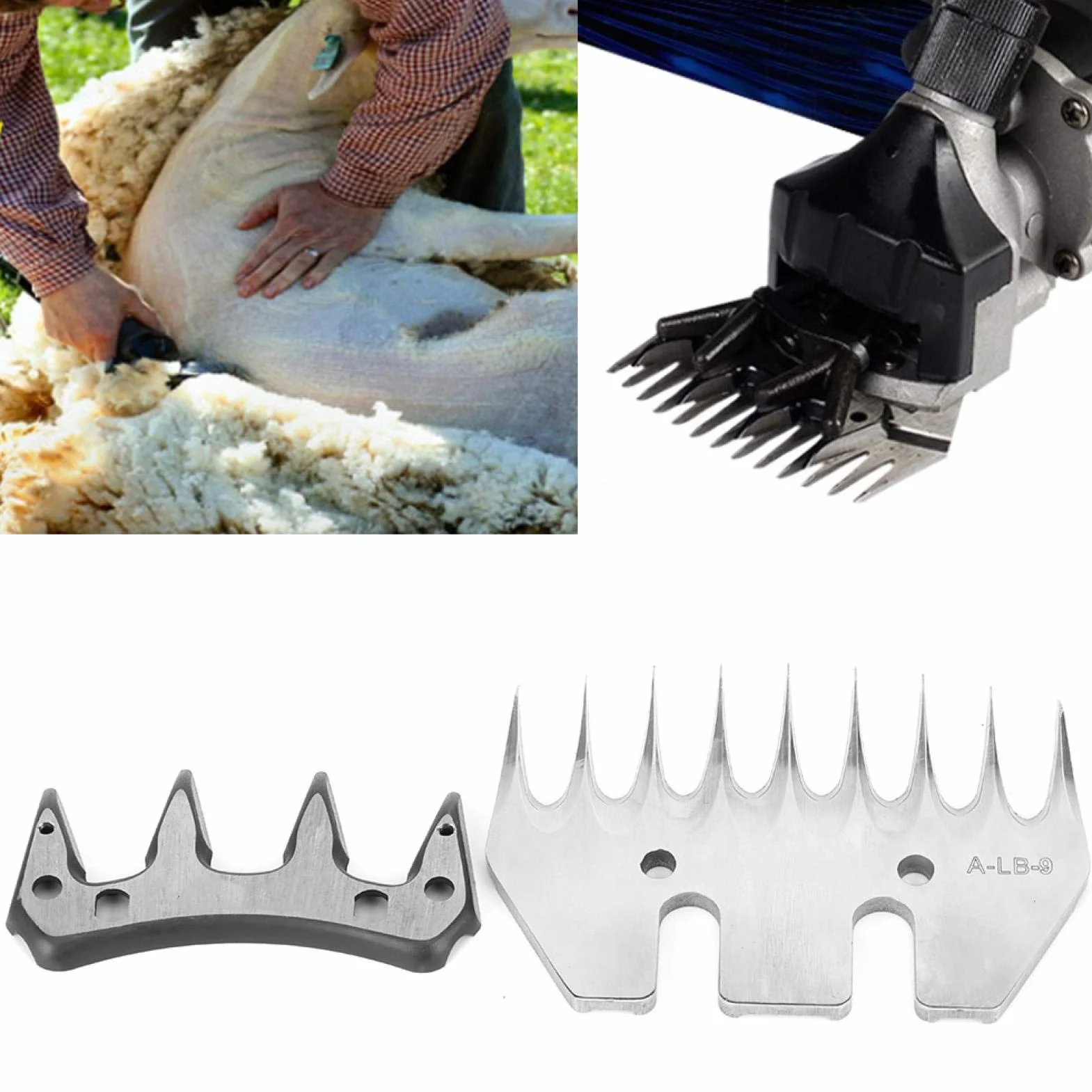 Lame de tondeuse acier inoxydable 9 dents droite remplacement coupeur