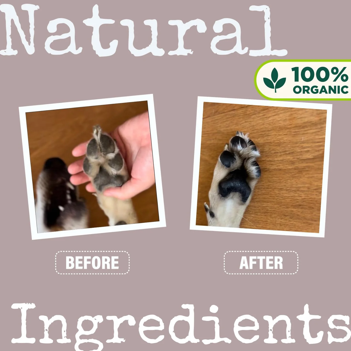 Baume bio 30 ml 100% naturel pour nez et pattes de chien hydratant coussinets secs