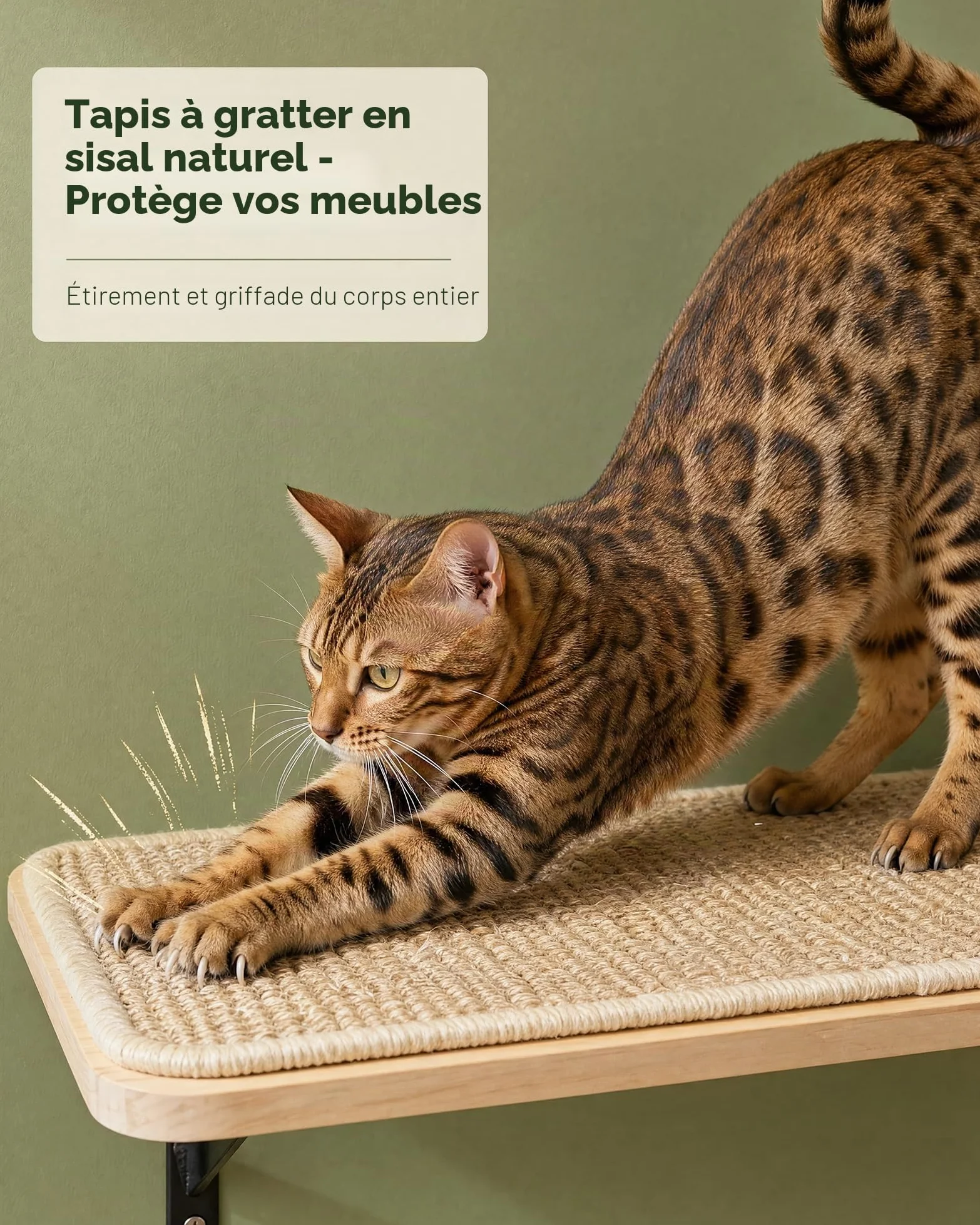 Étagères murales pour chats avec tapis en éponge, arbre d'escalade pour chat avec 2 marches carrées et plateformes incurvées, ensemble de meubles muraux en bois pour chat pour dormir et jouer