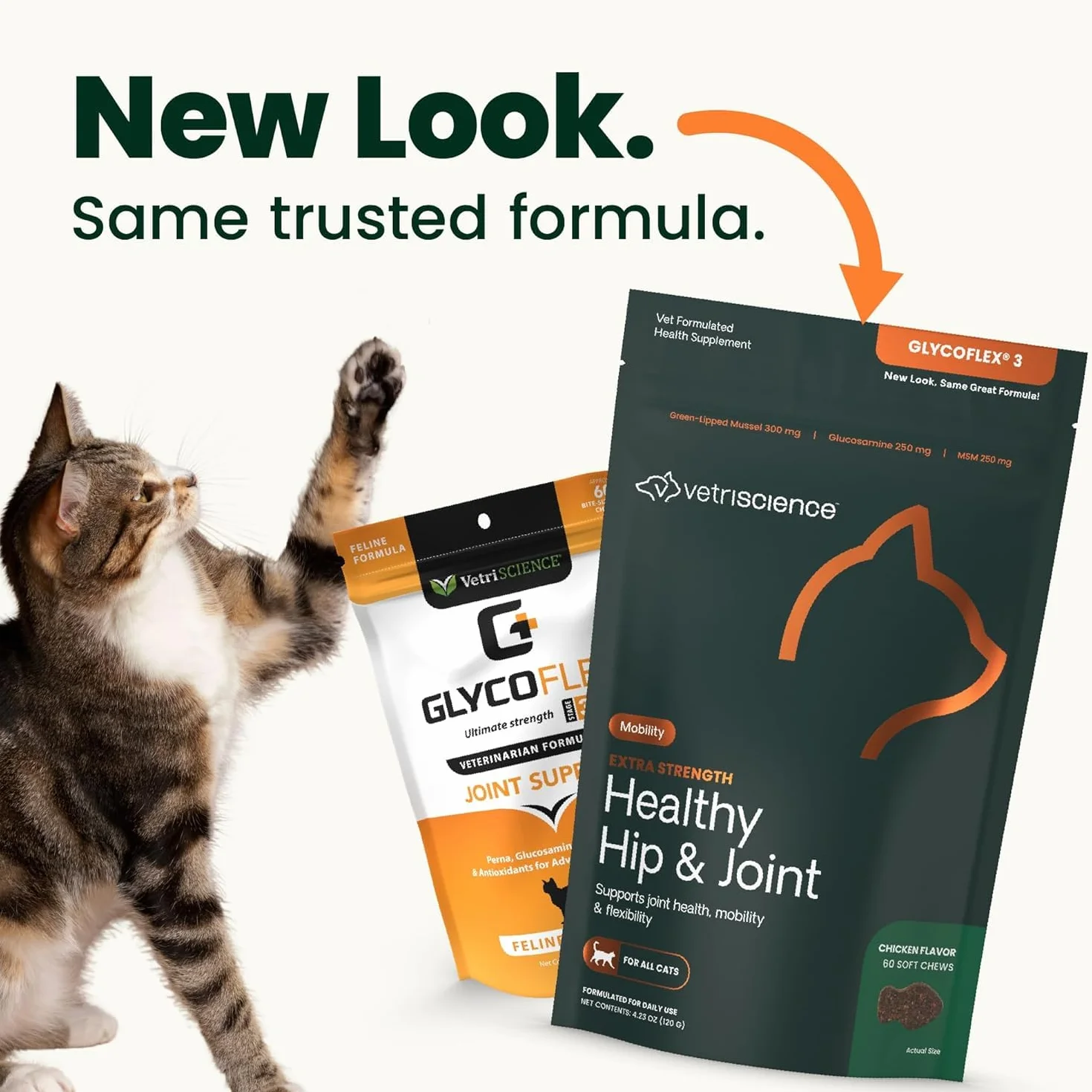 Vetri-Science Laboratories Glyco Flex 3 Complément Alimentaire pour Chats Hanche et Articulation