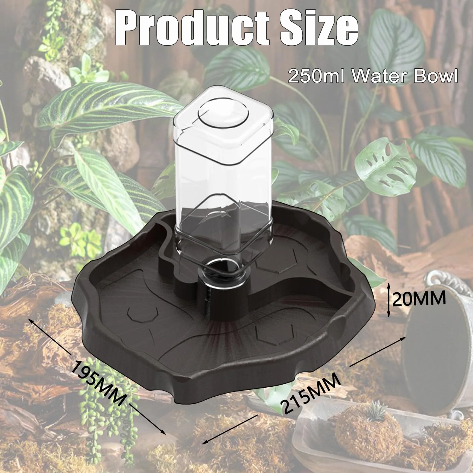 Distributeur d'eau pour Reptile 2 en 1, Mangeoire Tortue Terrestre avec Plat en Plastique