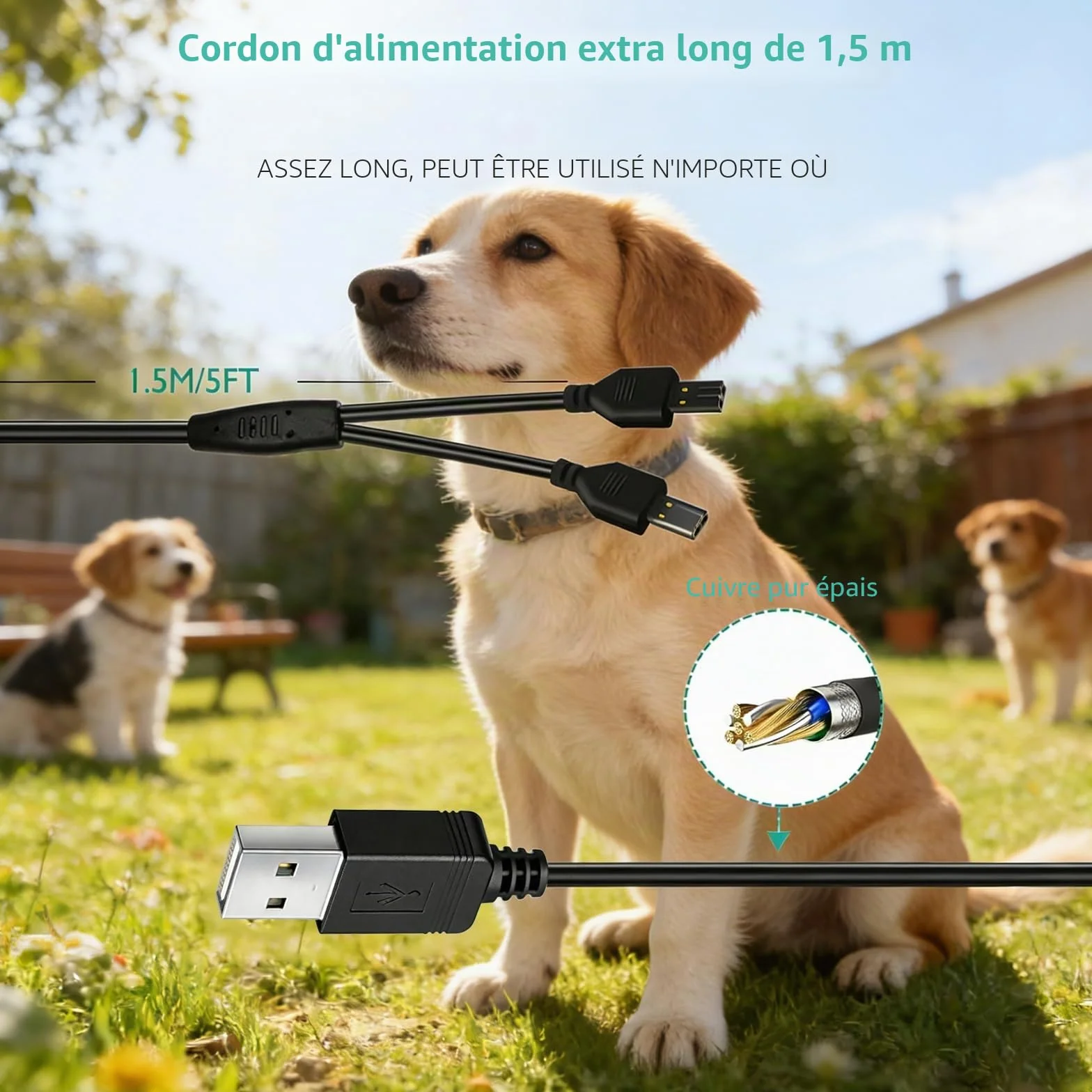 Câble d'alimentation de rechange pour collier Petsafe, compatible PetSafe Remote Trainer 100/300/600/800 m
