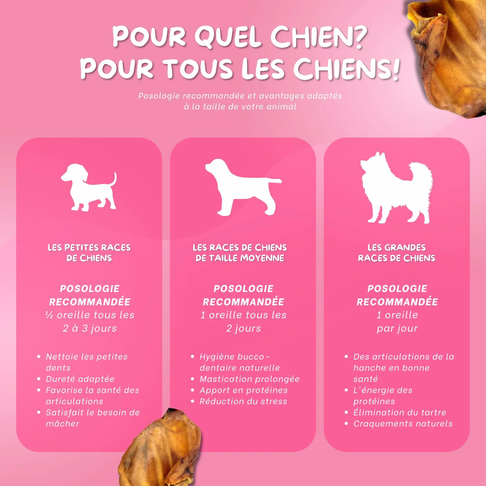 Oreilles de Porc pour Chien – Friandises pour Chien – 100% Naturels sans conservateurs ni additifs – Hygiène Dentaire, Réduction du Stress – Source collagène et protéines – 10 Pièces