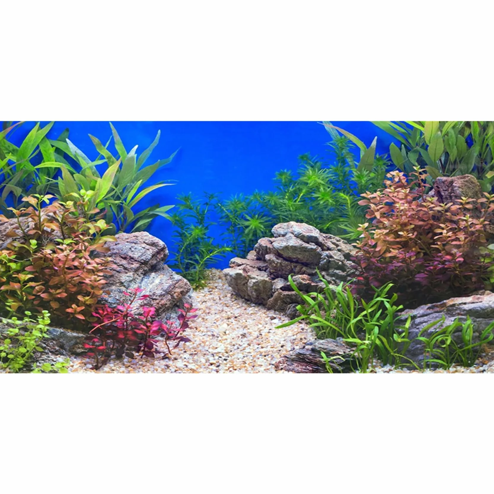 Plante Aquatique Fond Aquarium Vinyle 91x50cm