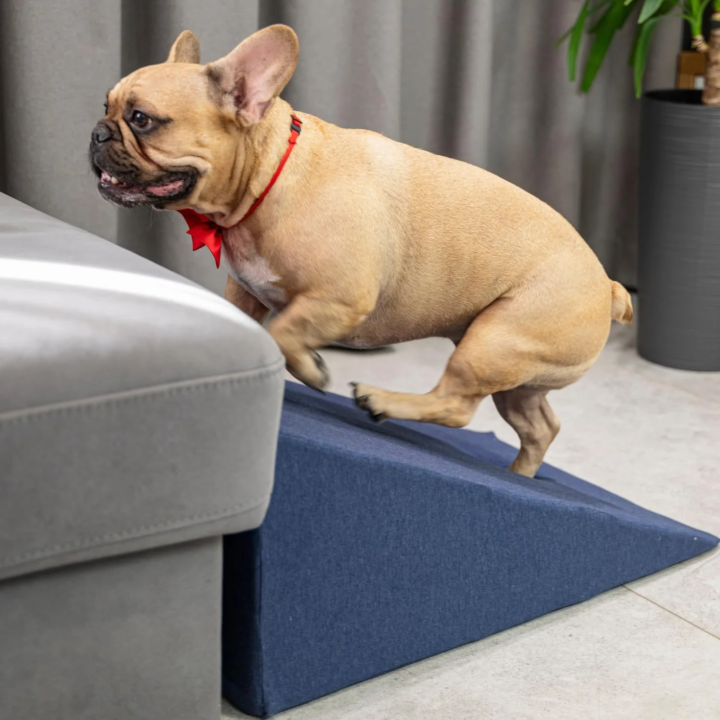Rampe pour Chien et Chat Animaux Canapé Lit Housse Amovible Bleu Foncé