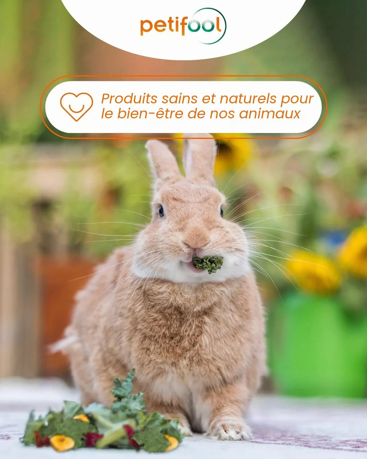 Petifool Aliments complémentaires pour rongeurs Mélange d'automne coloré 650 g