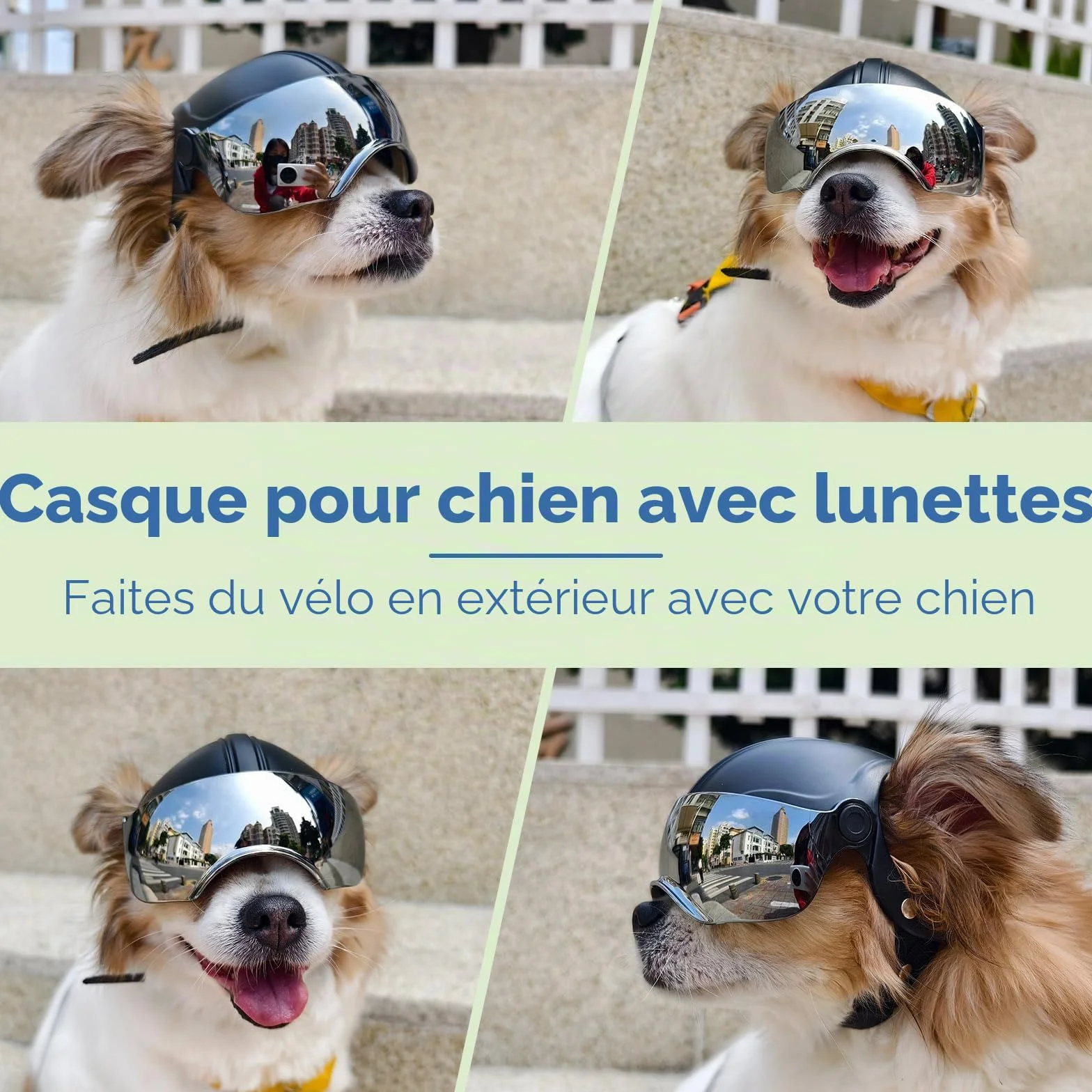 Casque et Lunette Moto Chien Protection UV Anti-Sable pour Chiens 7,5-12,5 kg Verres Argentés