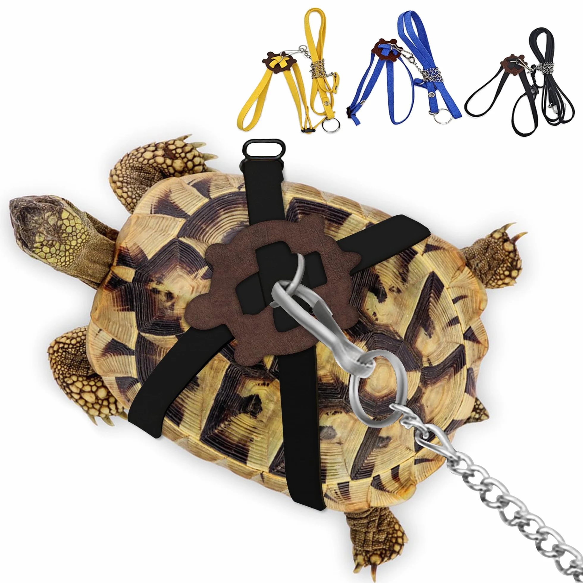 Harnais en Cuir pour Petite Tortue avec Laisse Réglable Noir M