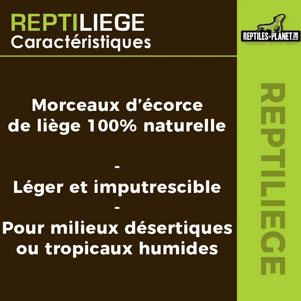Reptiles Planet Assortiment de Liège pour Décoration de Terrarium 10 litres