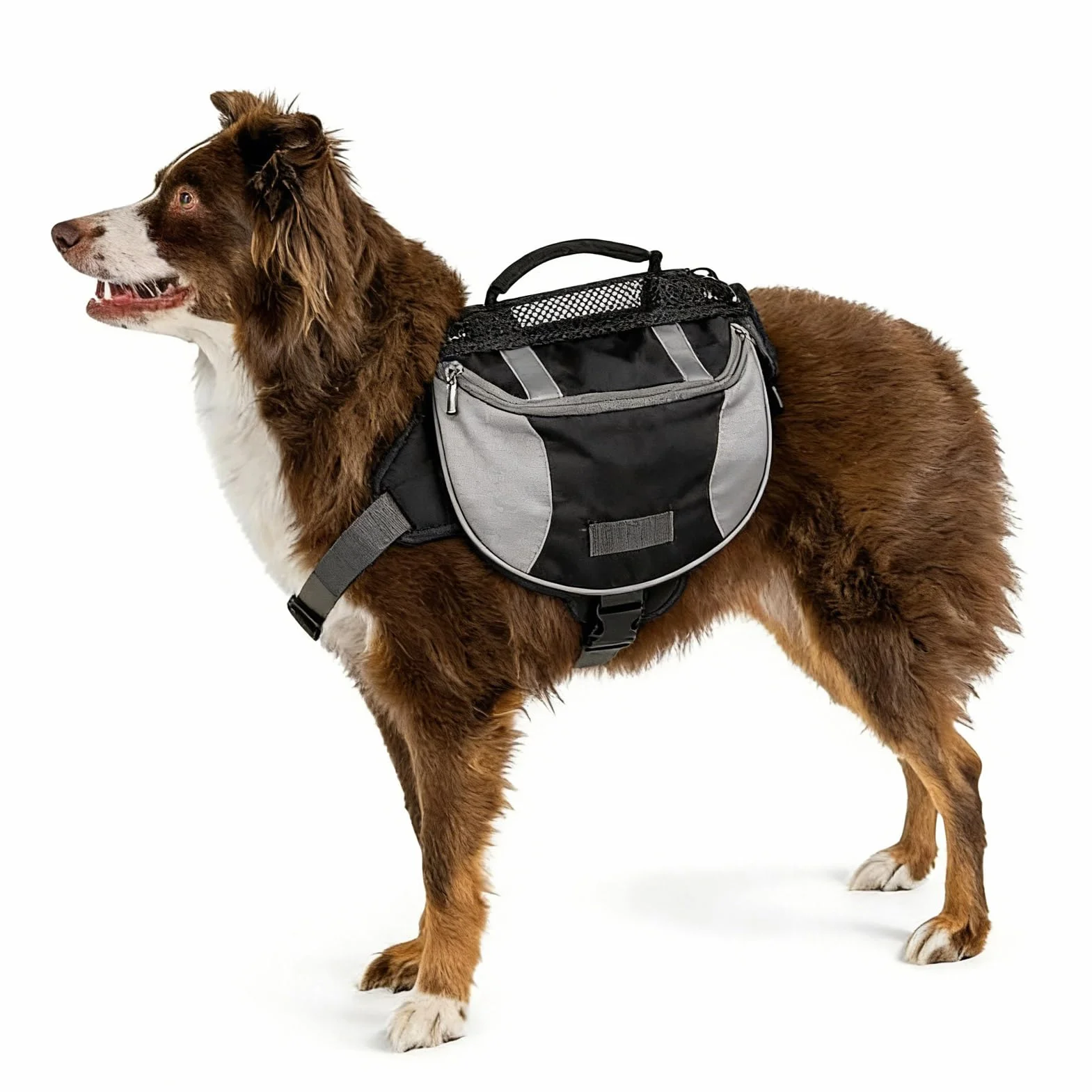 Doggy Backpack Harnais Sac À Dos De Randonnée Pour Chien, Sac De Selle Avec Poches Latérales M Noir