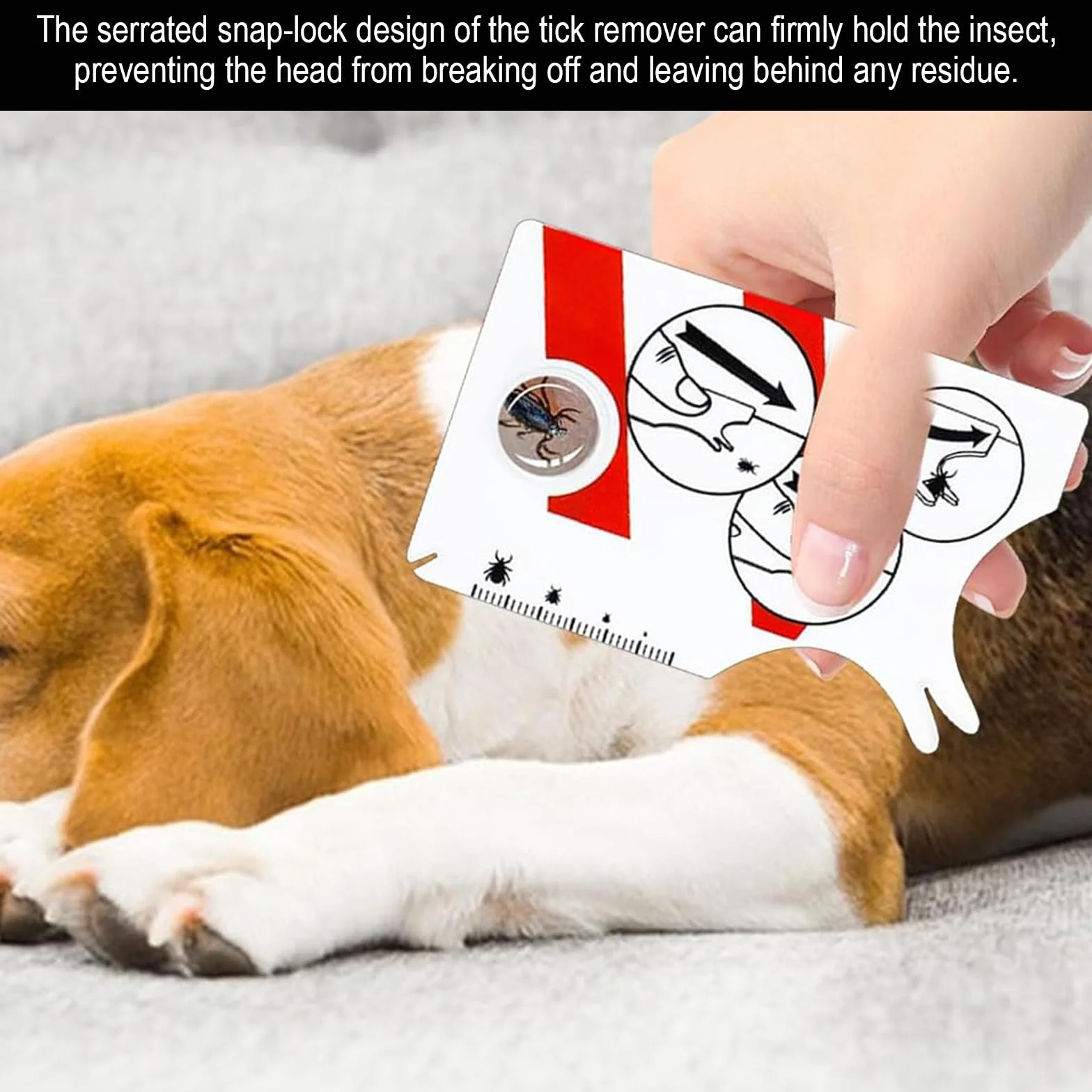 Carte à Tiques Homme & Enfants avec Loupe - Rapide Enlever Les Tiques pour Chien et Animal de Compagnie