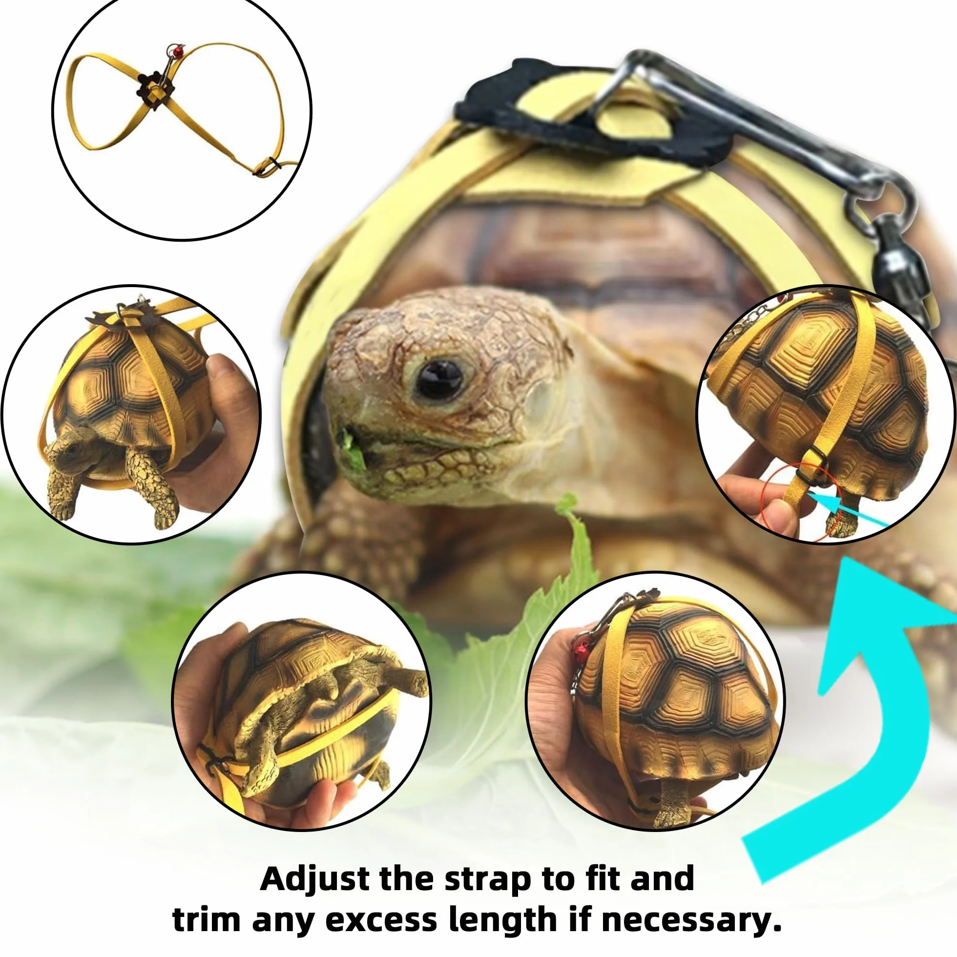 Harnais en Cuir pour Petite Tortue avec Laisse Réglable Noir M