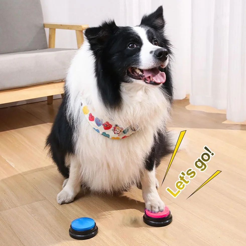 Cerioll Buzzer Enregistrable, Buzzer Chien Sonore et Lumineux, 2 Pièces Bouton Communication