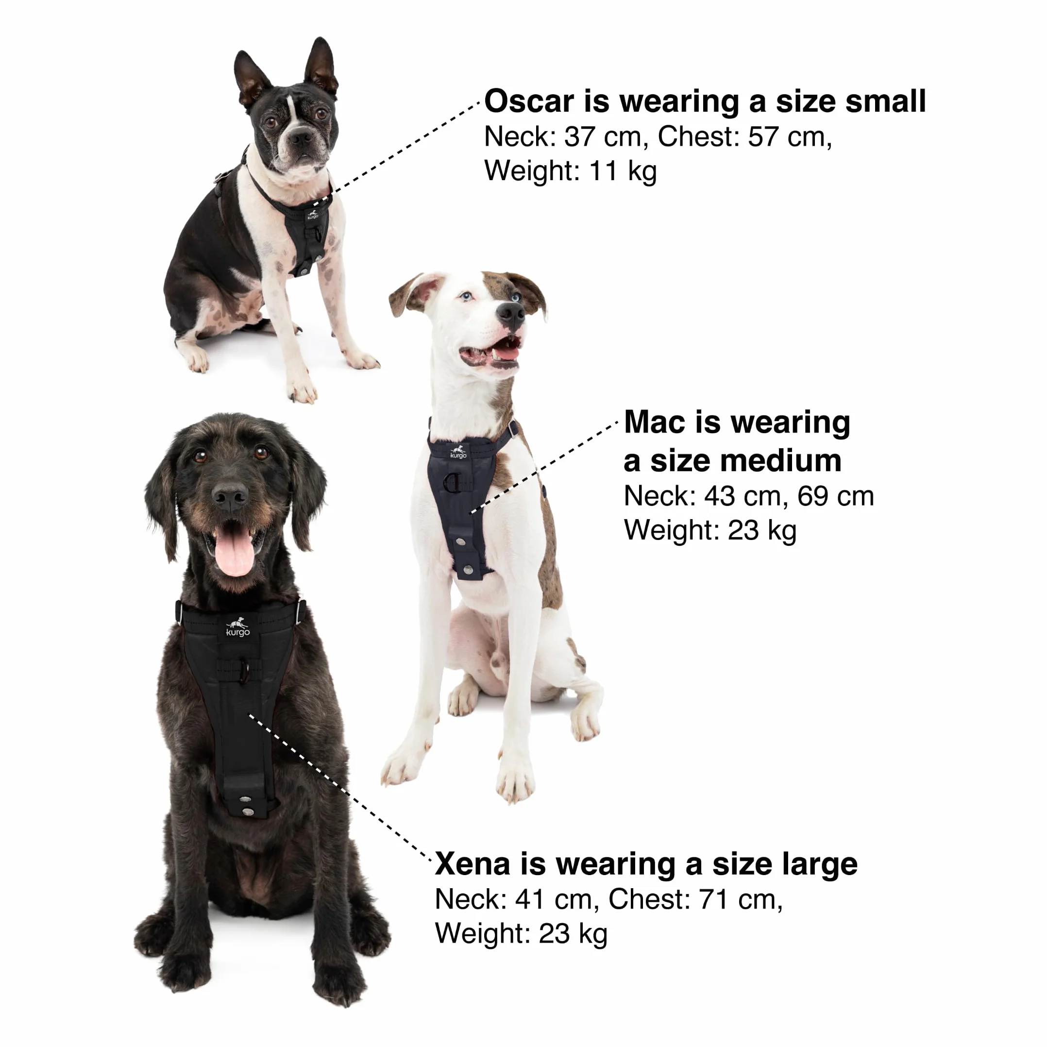 Kurgo Harnais pour Chien Tru-Fit, Accessoire Chien pour la Promenade, Clip Avant pour entraîner Son Chien à ne Pas Tirer & Ceinture de sécurité pour Voiture, Noir, L
