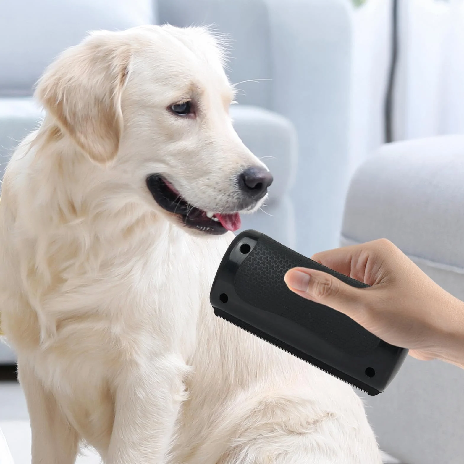 Brosse Chien Anti-Tomenteuse Élimine Sous-Poil Tangles pour Chiens Chats Poils Courts et Longs