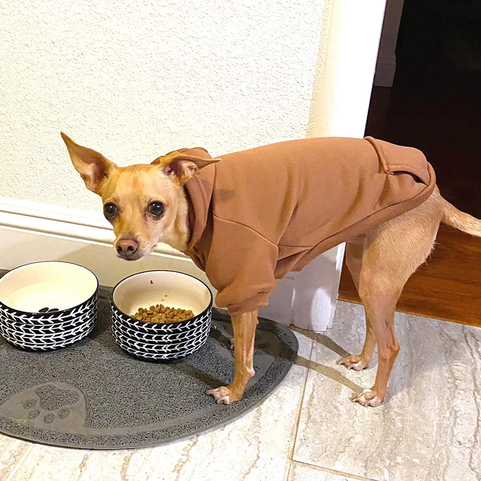 Manteau d'hiver Sweat à Capuche pour Petit Chien, Chihuahua, Chiot, Chat, XXS, Marron café