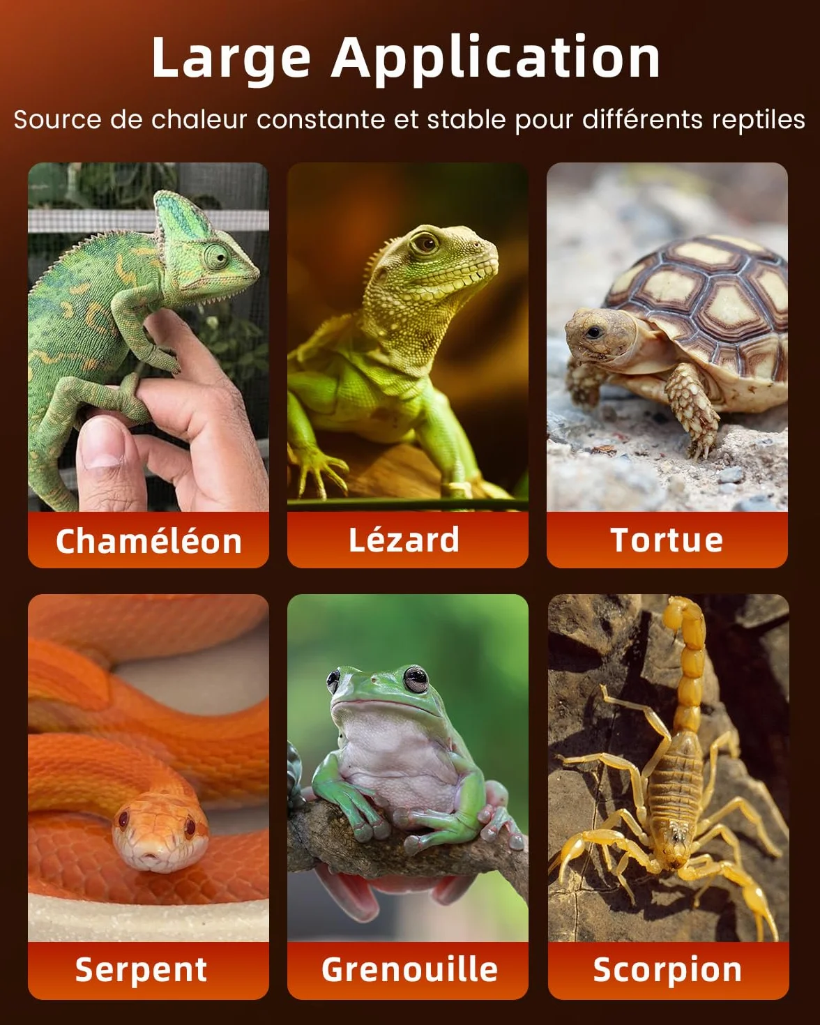 Glowup 7W Reptile Vivarium Tapis de Chauffage avec Réglage de la Température pour Reptiles, Tortues, Serpents, Lézard