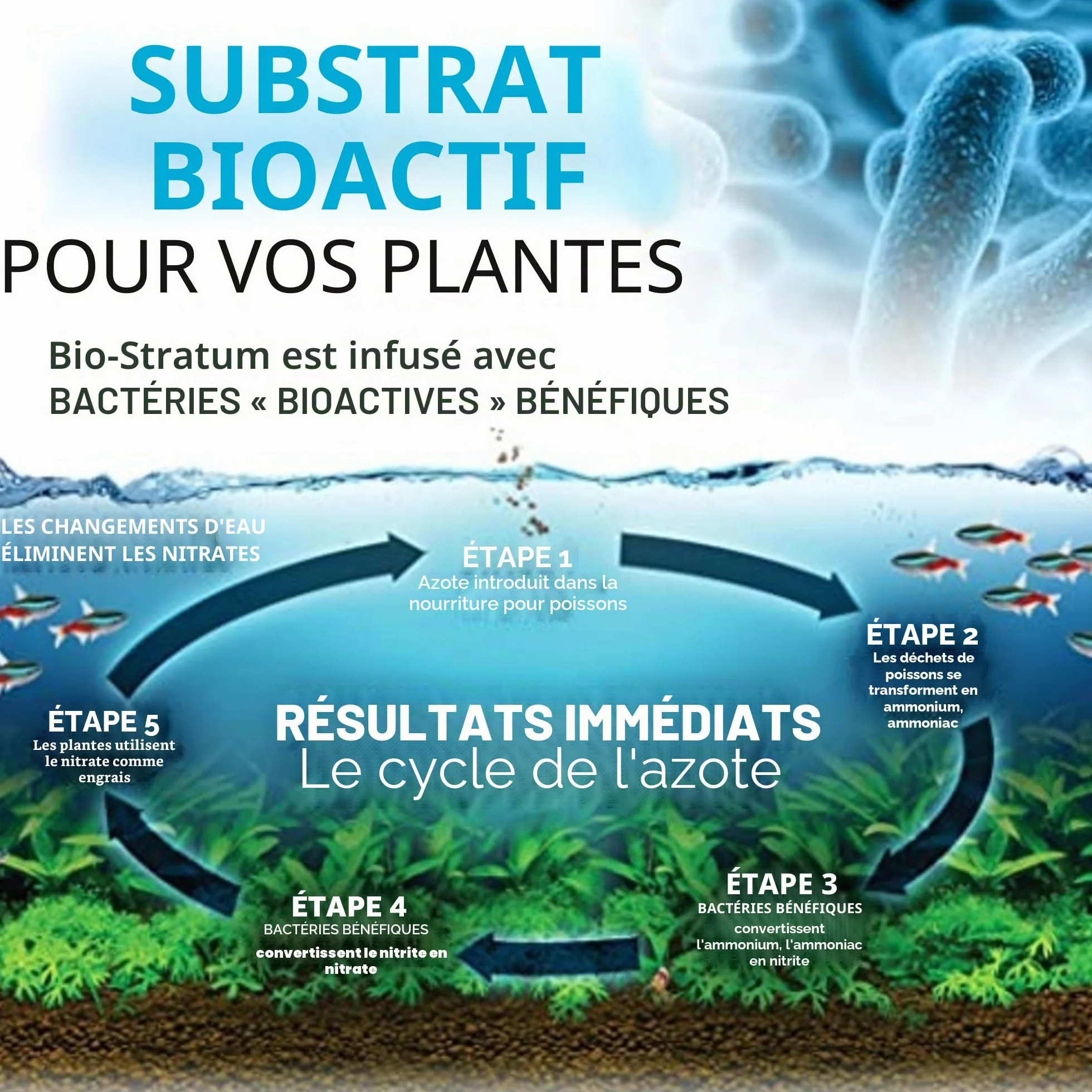 Fluval Bio Stratum Substrat volcanique pour Aquarium planté, 2 kg