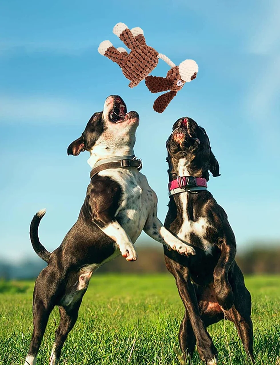 Cielbleu Jouet pour Chien Jouets Couineur Peluche Interactifs à Mâcher 3 Pièces