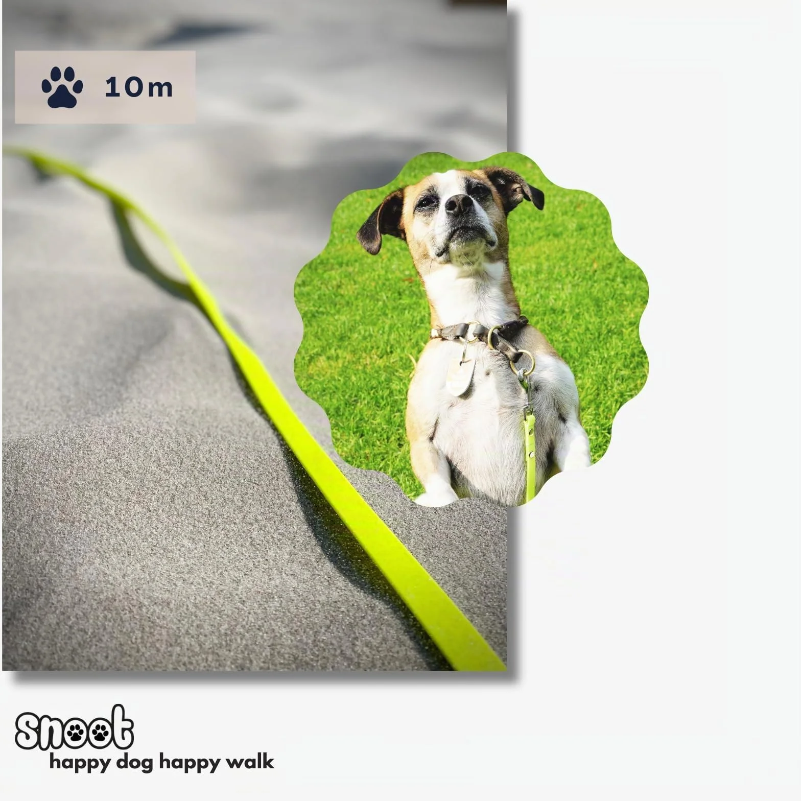 Laisse à Pister 10m, Laisse de Chien, Mousqueton, Jaune Fluo, Extra étroite, Résistante à l'Eau