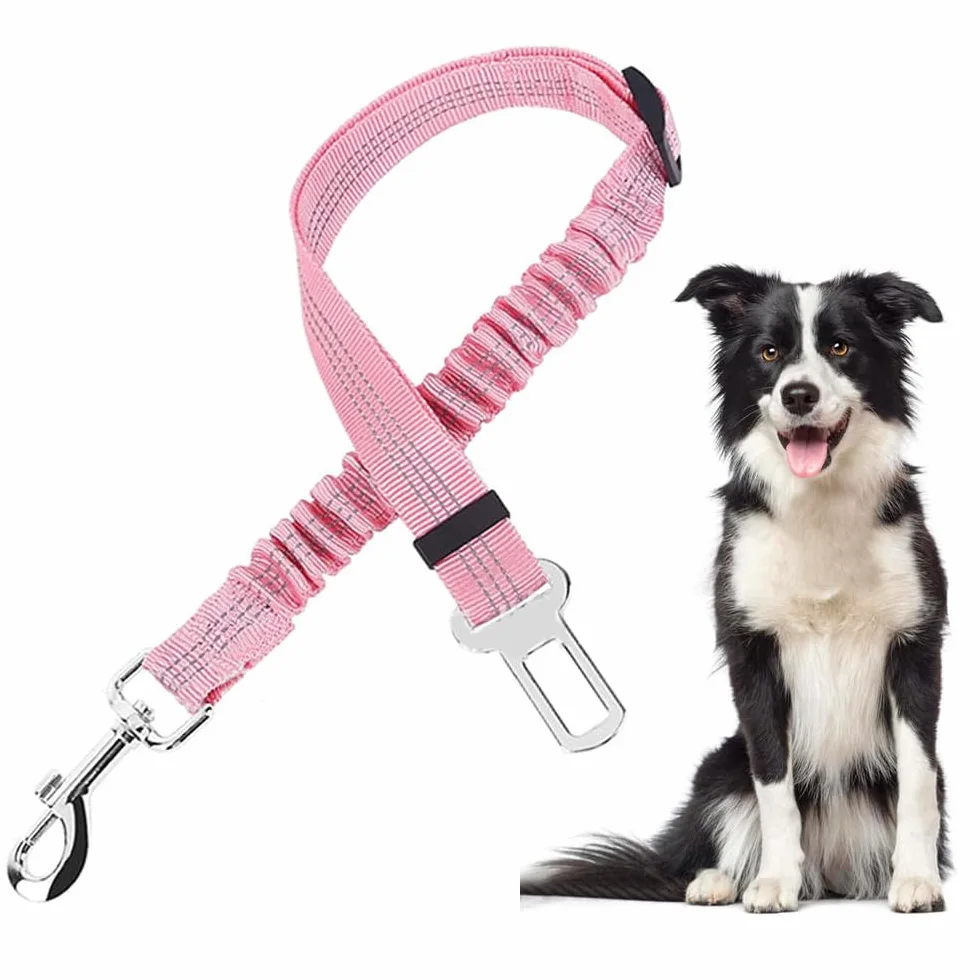 Laisse Élastique Réglable Ceinture Sécurité Voiture Chien Harnais Ajustable Protection Automobile Animaux Compagnie Nylon Résistant Boucle Robuste