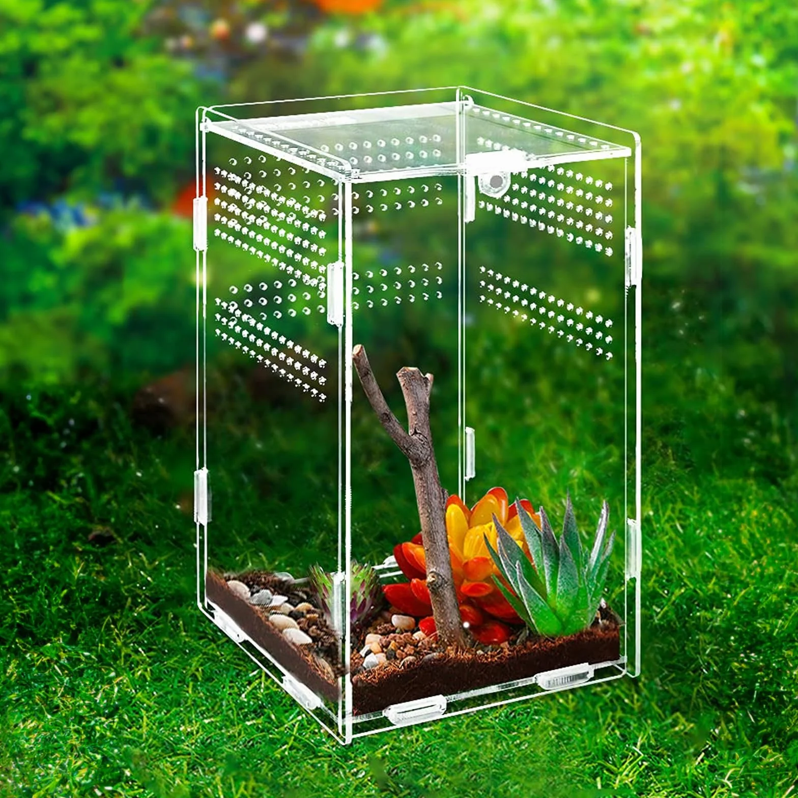 Nizirioo Terrarium acrylique 360° 12x12x20 cm pour araignée scorpion mante religieuse reptile